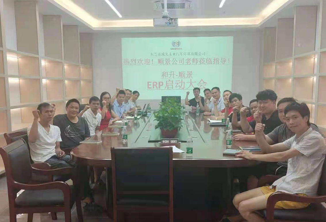 承前启后，智造先行!和升汽车照明公司携手开云官方网页版官网-开云（中国）软件打造数智管理